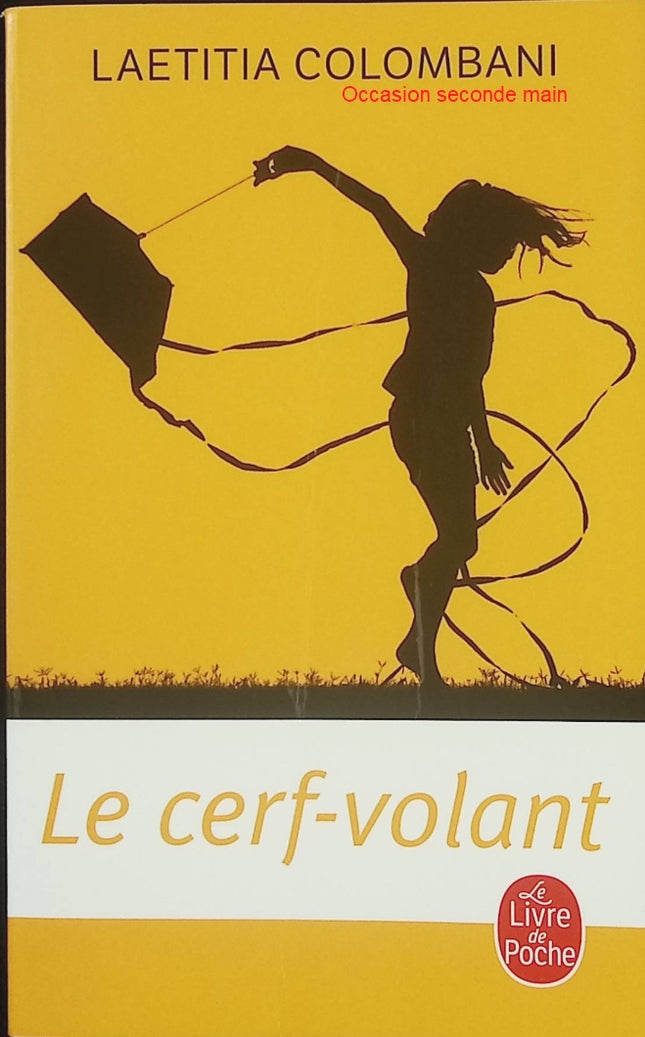 Le Cerf-volant – Laetitia Colombani – Roman contemporain, Inde, résilience et émancipation - Livre