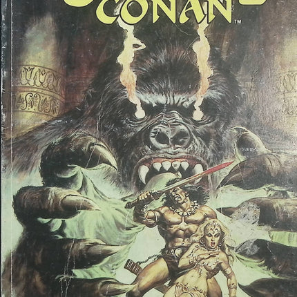 Spécial Conan N°11 – Marvel Comics Semic – Conan le Barbare – Comics d’occasion - Livre BD