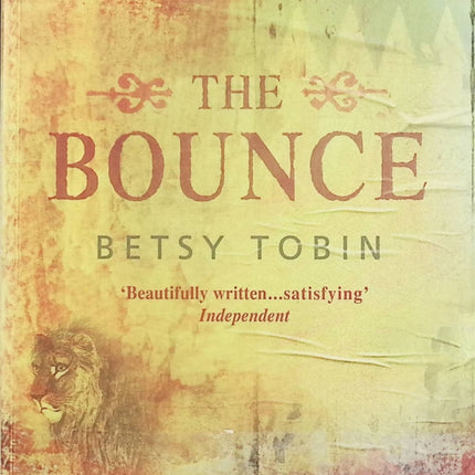 The Bounce – Betsy Tobin – Roman anglais contemporain sur les relations humaines, les choix de vie et les émotions - Livre en Anglais