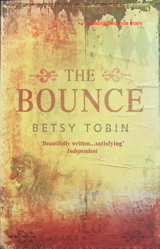 The Bounce – Betsy Tobin – Roman anglais contemporain sur les relations humaines, les choix de vie et les émotions - Livre en Anglais