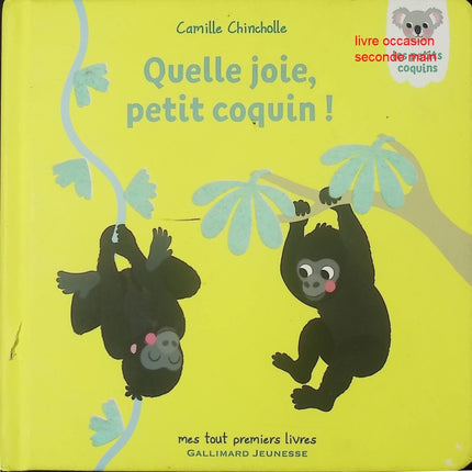Quelle joie, Petit Coquin – livre jeunesse de Camille Chincholle – émotions positives et lecture pour enfants - livre