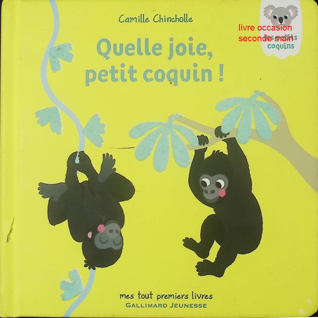 Quelle joie, Petit Coquin – livre jeunesse de Camille Chincholle – émotions positives et lecture pour enfants - livre