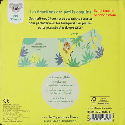 Quelle joie, Petit Coquin – livre jeunesse de Camille Chincholle – émotions positives et lecture pour enfants - livre