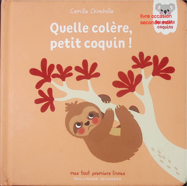 Quelle colère, Petit Coquin – livre jeunesse de Camille Chincholle – gestion des émotions et lecture pour enfants - livre