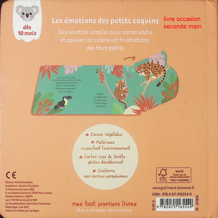 Quelle colère, Petit Coquin – livre jeunesse de Camille Chincholle – gestion des émotions et lecture pour enfants - livre