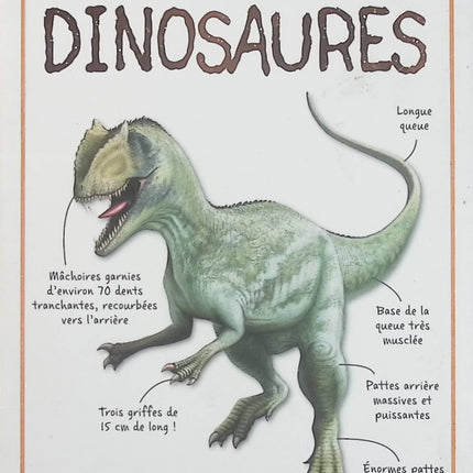 Les dinosaures – Petit guide de poche pour identifier 50 dinosaures – Steve Parker – Guide illustré pour enfants, découverte des espèces préhistoriques et des dinosaures célèbres - Livre