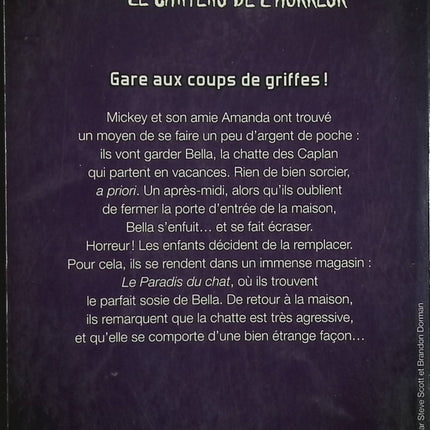 Chair de poule – Le Château de l’horreur – Tome 1 : Gare aux coups de griffes ! – R.L. Stine – roman jeunesse frissons - Livre