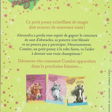 Les Poneys Magiques Tome 4 Au bout des rêves – Sue Bentley – Roman jeunesse d'occasion dès 6 ans - Livre