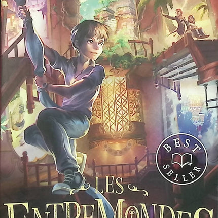 Les Entremondes Tome 1 L'Hôtel invisible – Sean Easley – Roman jeunesse fantasy d'occasion dès 10 ans - Livre