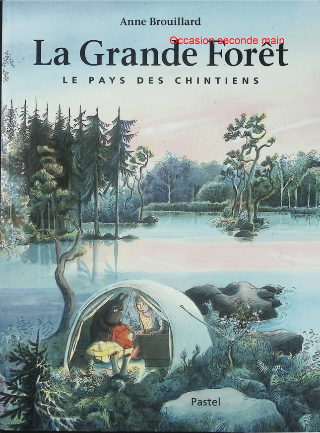 La Grande Forêt - Le pays des Chintiens - Anne Brouillard - Album jeunesse d'occasion - Voyage imaginaire et aventure - Livre