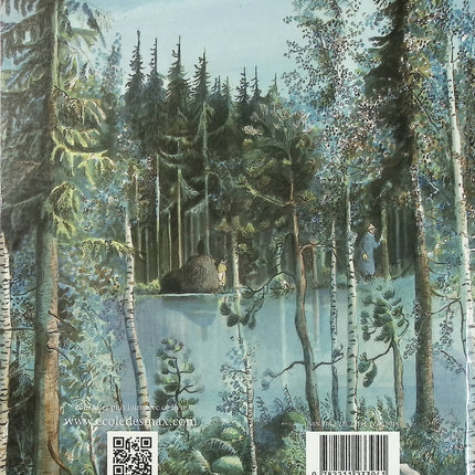 La Grande Forêt - Le pays des Chintiens - Anne Brouillard - Album jeunesse d'occasion - Voyage imaginaire et aventure - Livre