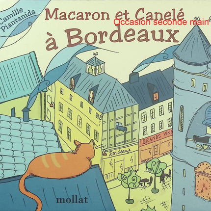 Macaron et Canelé à Bordeaux – Camille Piantanida – Histoire jeunesse autour de Bordeaux et de la gourmandise - Livre