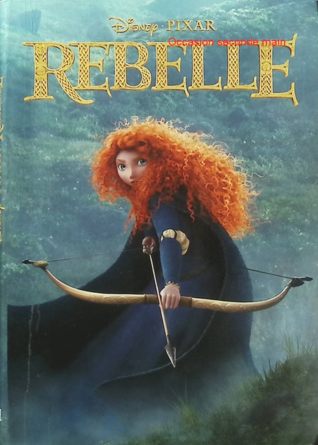 Rebelle – Disney Pixar – Histoire de Mérida, princesse Disney et aventure magique - Livre