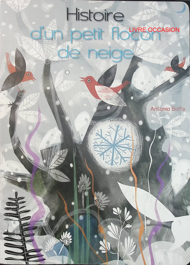 Histoire d’un petit flocon de neige – Antonio Boffa – livre jeunesse hiver et amitié à volets - Livre
