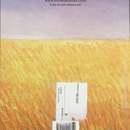 Le Voyage d’Oregon – Rascal – Album jeunesse poétique sur l’amitié dès 5 ans - livre