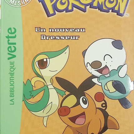 Pokémon – Aventures sur mesure – Un nouveau Dresseur – Bibliothèque Verte - Livre