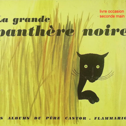 La Grande Panthère noire - Paul François - Roman jeunesse aventure et suspense - Livre