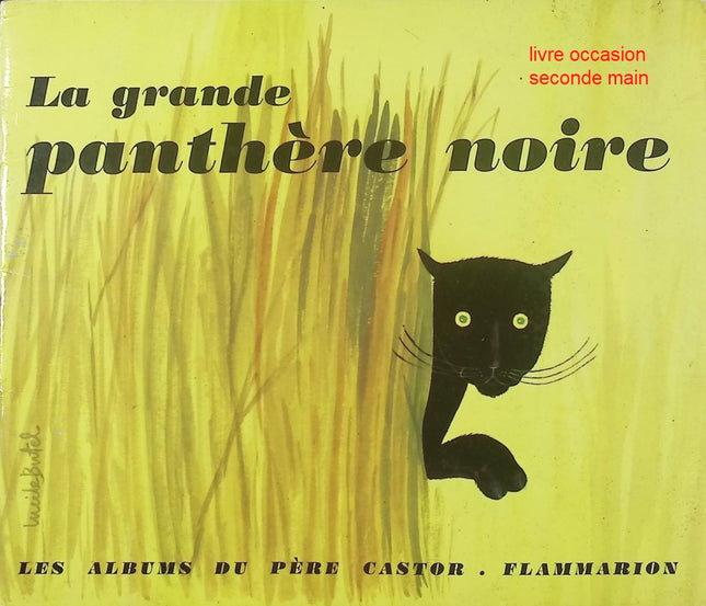 La Grande Panthère noire - Paul François - Roman jeunesse aventure et suspense - Livre