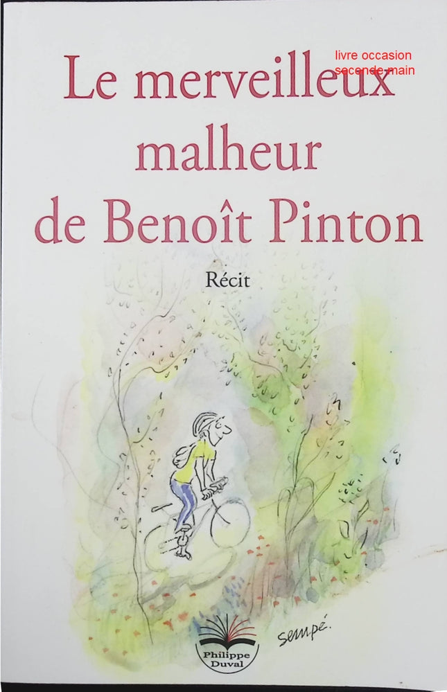 Le merveilleux malheur de Benoît Pinton - Benoît Pinton - Roman jeunesse humour et aventures - Livre