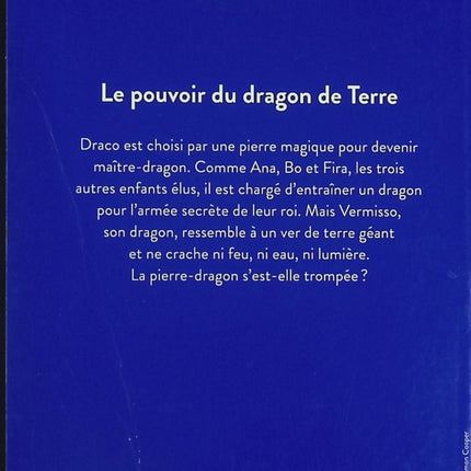 Maîtres des dragons tome 1 Le pouvoir du dragon de Terre livre jeunesse Tracy West aventure fantastique dragons - Livre