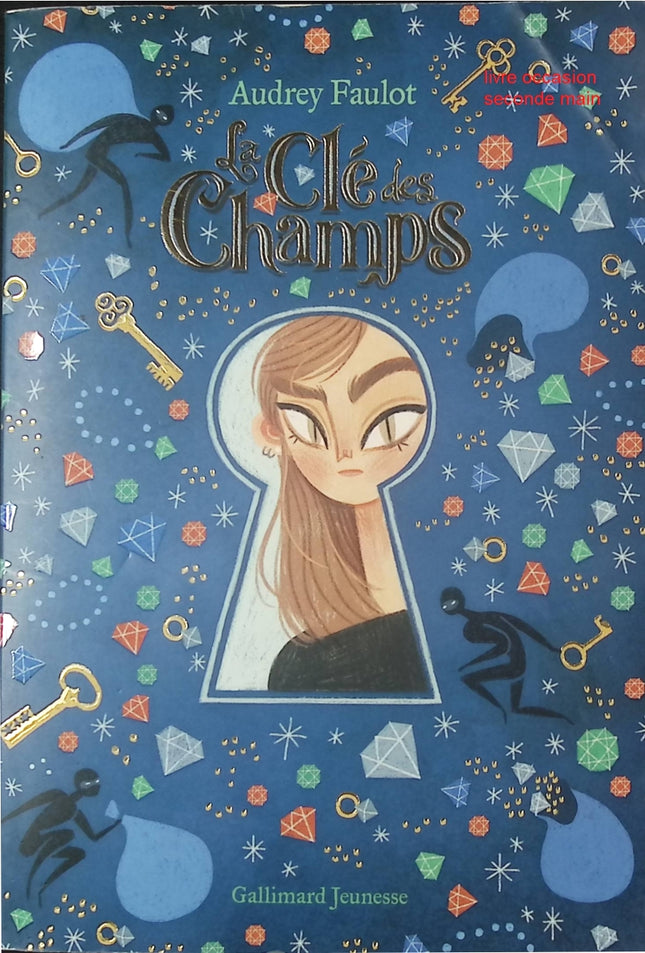 Livre jeunesse aventure – La Cle des Champs – Audrey Faulot – roman illustré dès 7 ans - livre