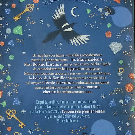 Livre jeunesse aventure – La Cle des Champs – Audrey Faulot – roman illustré dès 7 ans - livre