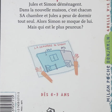 Bonne nuit, ouistitis ! – Livre jeunesse premières lectures pour enfants – Catherine Hors & Line T. - livre