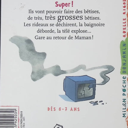 Vive les bêtises ! – Livre jeunesse humour et premières lectures pour enfants – Christophe Loupy & Laurent Richard - livre