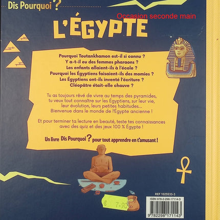 Dis pourquoi ? L'Égypte – Virginie Aladjidi, Caroline Pellissier – Documentaire jeunesse sur l'Égypte antique – Livre d'occasion - Livre