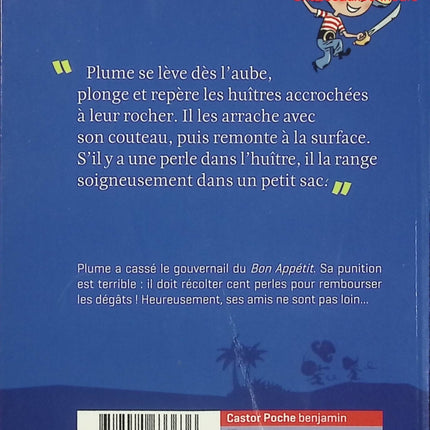 Plume le Pirate – Tome 2 : Le trésor de l’île aux perles – Paul Thiès – roman jeunesse aventure pirates - Livre