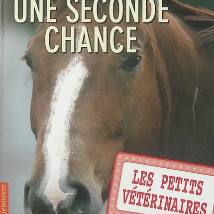 Les Petits Vétérinaires – Tome 3 : Une seconde chance – Laurie Halse Anderson – roman jeunesse animaux et émotion - Livre