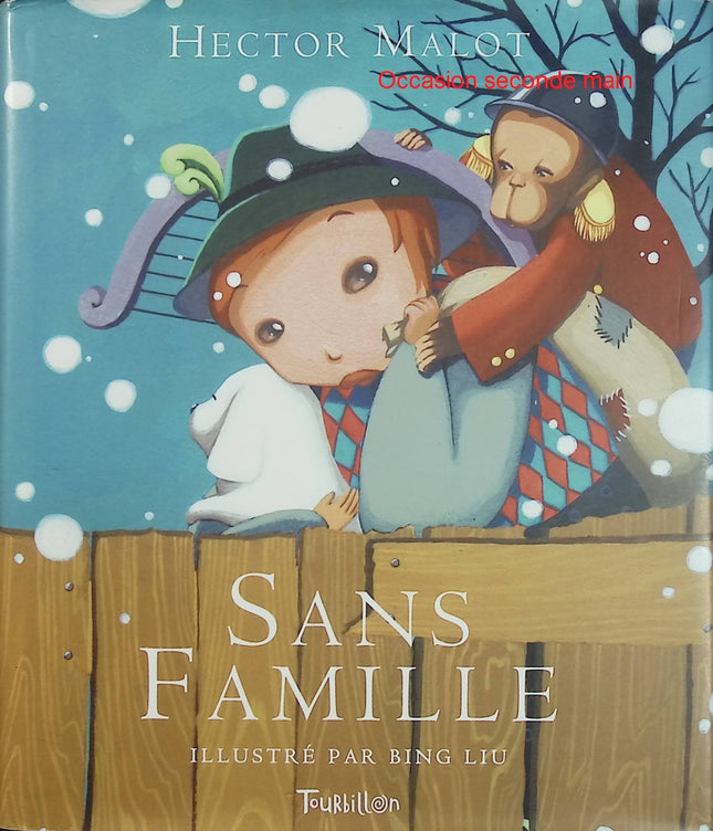 Sans Famille - Hector Malot & Bing Liu - Roman jeunesse illustré d'occasion - Livre
