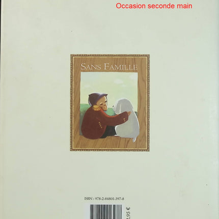 Sans Famille - Hector Malot & Bing Liu - Roman jeunesse illustré d'occasion - Livre