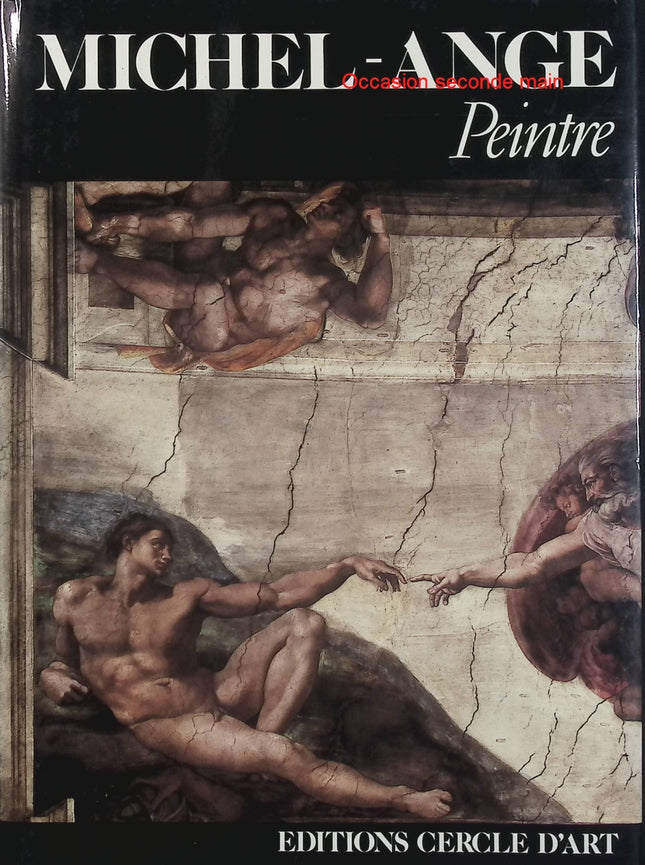Michel-Ange Peintre – Pier Luigi De Vecchi – Cercle d’Art – Renaissance italienne – Peinture - Livre