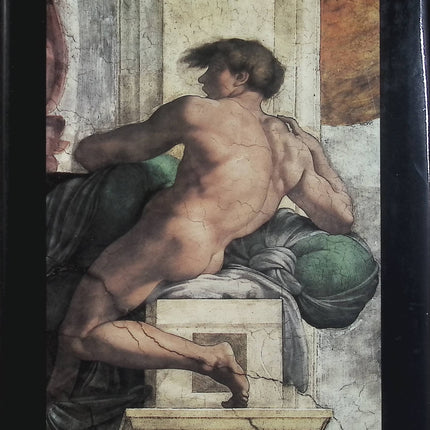 Michel-Ange Peintre – Pier Luigi De Vecchi – Cercle d’Art – Renaissance italienne – Peinture - Livre