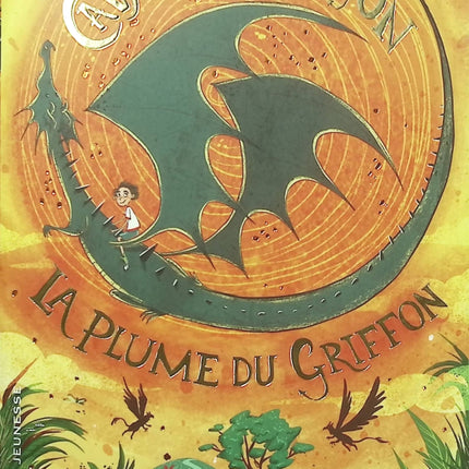 Cavalier du Dragon – Tome 2 – Cornelia Funke – roman fantasy jeunesse occasion aventure dragons magie saga - Livre