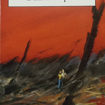 Dans la tempête – Madeleine Chapsal – Roman psychologique sur les épreuves de la vie et les relations humaines - Livre