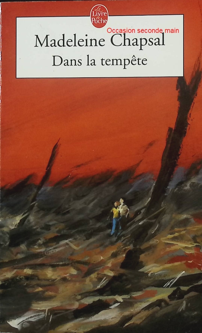 Dans la tempête – Madeleine Chapsal – Roman psychologique sur les épreuves de la vie et les relations humaines - Livre