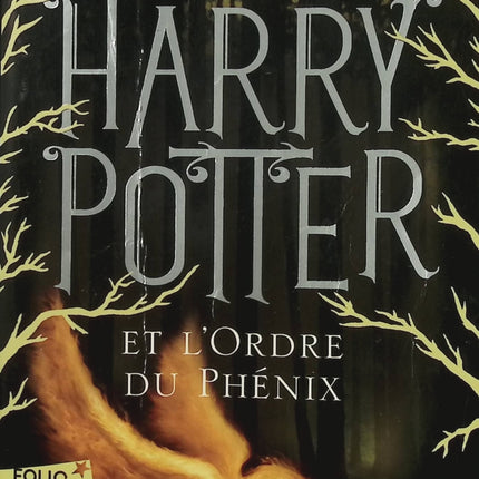 Harry Potter Tome 5 – Harry Potter et l’Ordre du Phénix – J.K. Rowling – Roman fantastique - Livre