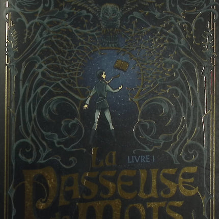 La Passeuse de Mots – Tome 1 – Alric & Jennifer Twice – Roman fantasy jeunesse sur le pouvoir des mots - Livre