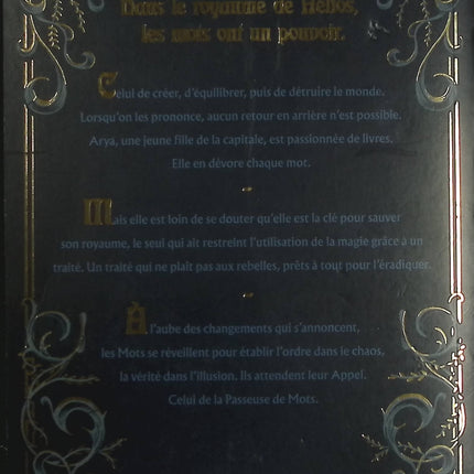 La Passeuse de Mots – Tome 1 – Alric & Jennifer Twice – Roman fantasy jeunesse sur le pouvoir des mots - Livre