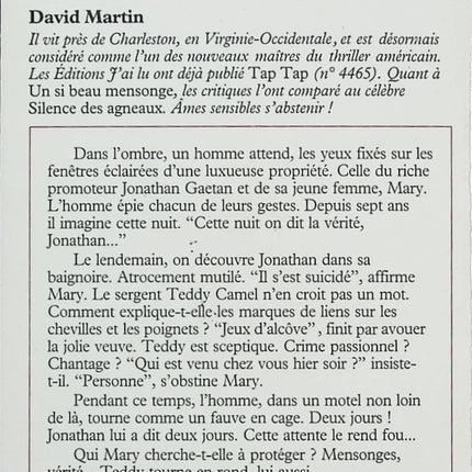 Un si beau mensonge – David Martin – Thriller psychologique sur les secrets de famille et les apparences trompeuses - Livre