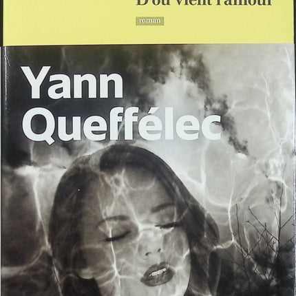 D’où vient l’amour – Yann Queffélec – roman contemporain amour passion drame relations humaines - Livre