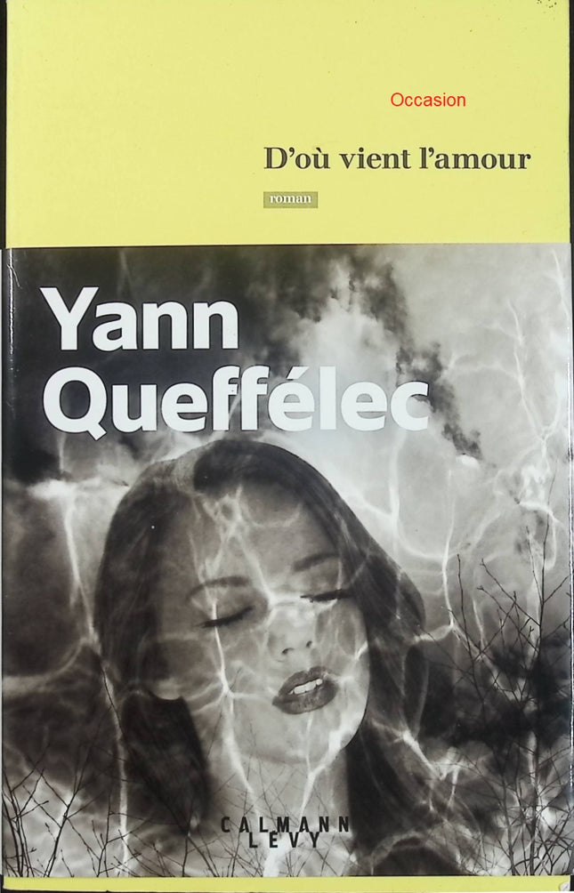 D’où vient l’amour – Yann Queffélec – roman contemporain amour passion drame relations humaines - Livre
