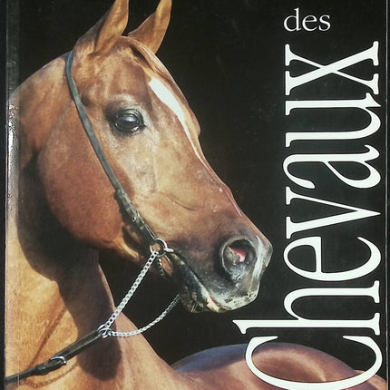 L’Univers des chevaux - Guide complet pour passionnés de Josée Hermsen - Livre