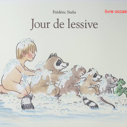 Jour de lessive - Frédéric Stehr - Livre