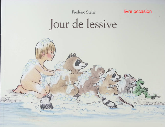 Jour de lessive - Frédéric Stehr - Livre