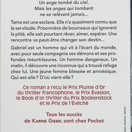 Toutes blessent, la dernière tue – Karine Giebel – thriller psychologique, drame humain et suspense bouleversant - Livre