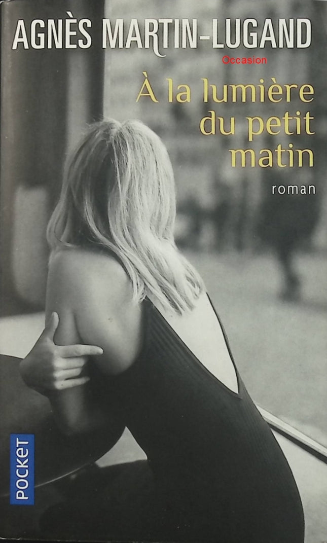 À la lumière du petit matin – Agnès Martin-Lugand – roman contemporain, reconstruction personnelle et nouveau départ - Livre