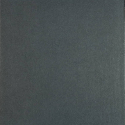 Dans les angles morts - Elizabeth Brundage - livre